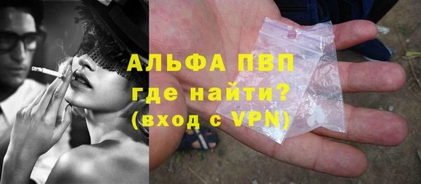 прущие грибы Краснотурьинск